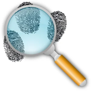 Ziptie AI Search Performance Tool keyword performance analytics for U.S. companies SEO tracking